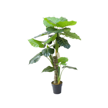 TAROPLANT Y8059-23-3-1PS 130 CM
