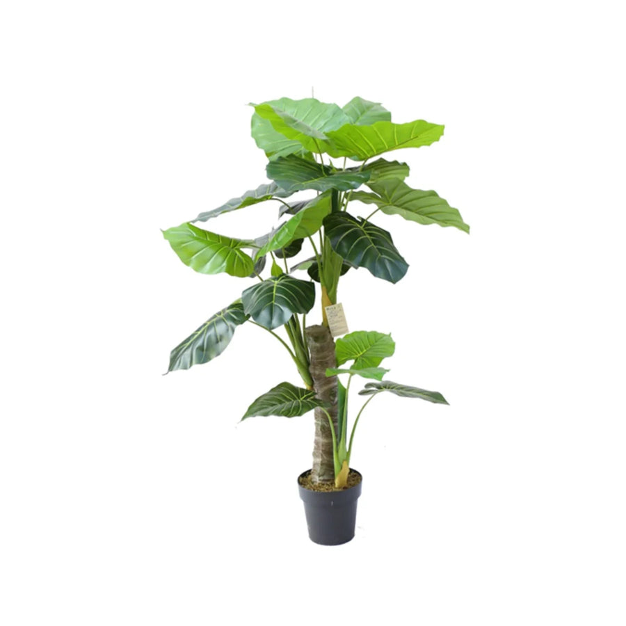 TAROPLANT Y8059-23-3-1PS 130 CM