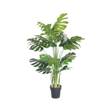 MONSTERAPLANT Y8453-18-7PS 125 CM