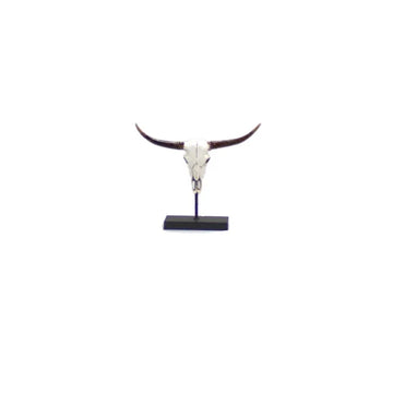 Ornament Buffalo Skull