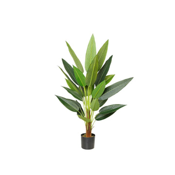 STRELITZIA BOOM Y8498-27-9-1T 95 CM